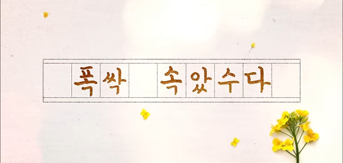[잡담] 폭싹 진짜 제대로 미쳤군아……… | 인스티즈
