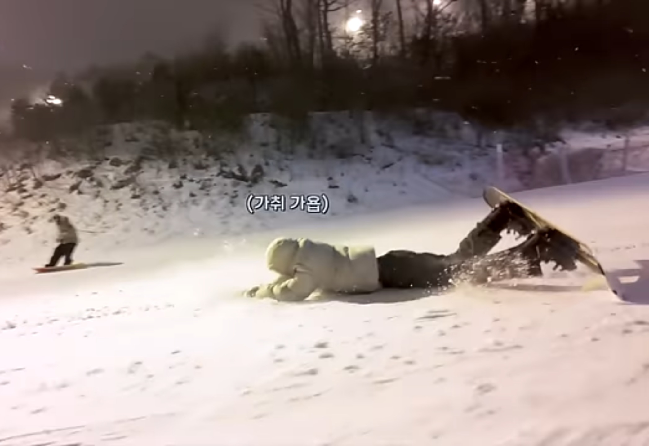 [잡담] 라이즈 삼개즈 펫캠 ㅋㅋㅋㅋ | 인스티즈