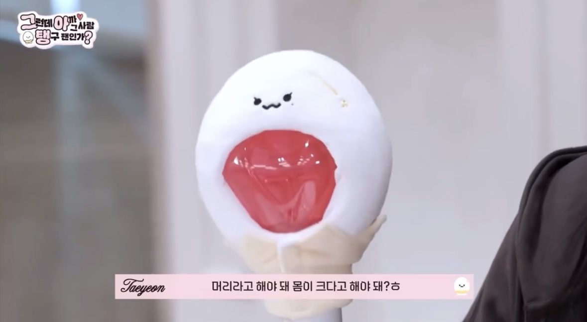 [잡담] 태연 응원봉 망토 미친거아니야,,,,,??ㅠㅠ | 인스티즈