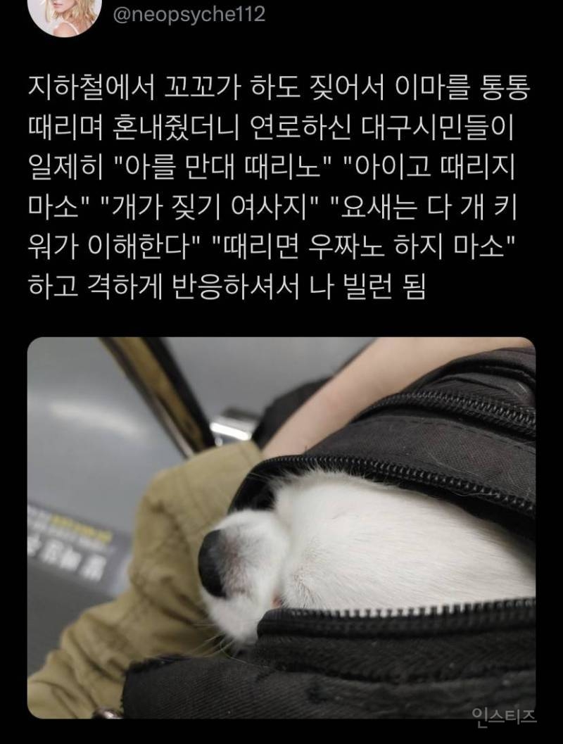 대구 지하철서 빌런되는 법.jpg | 인스티즈