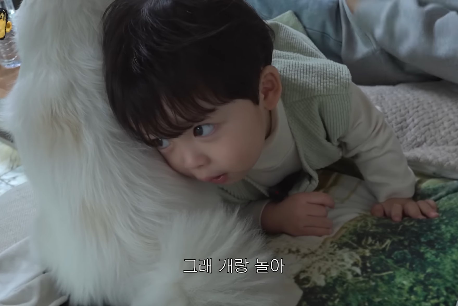 [잡담] 카더가든 유튭에 나온 애기 진짜 역대급으로 귀엽게 생김.... | 인스티즈