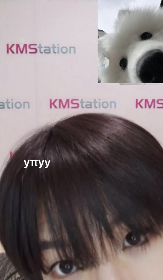 [잡담] 제노가나디 잘자 | 인스티즈