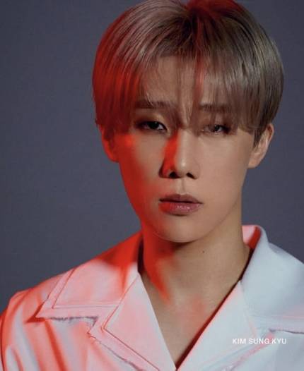 [공식] 인피니트 김성규, 오늘(22일) 누나상 "투병 중 사망" | 인스티즈