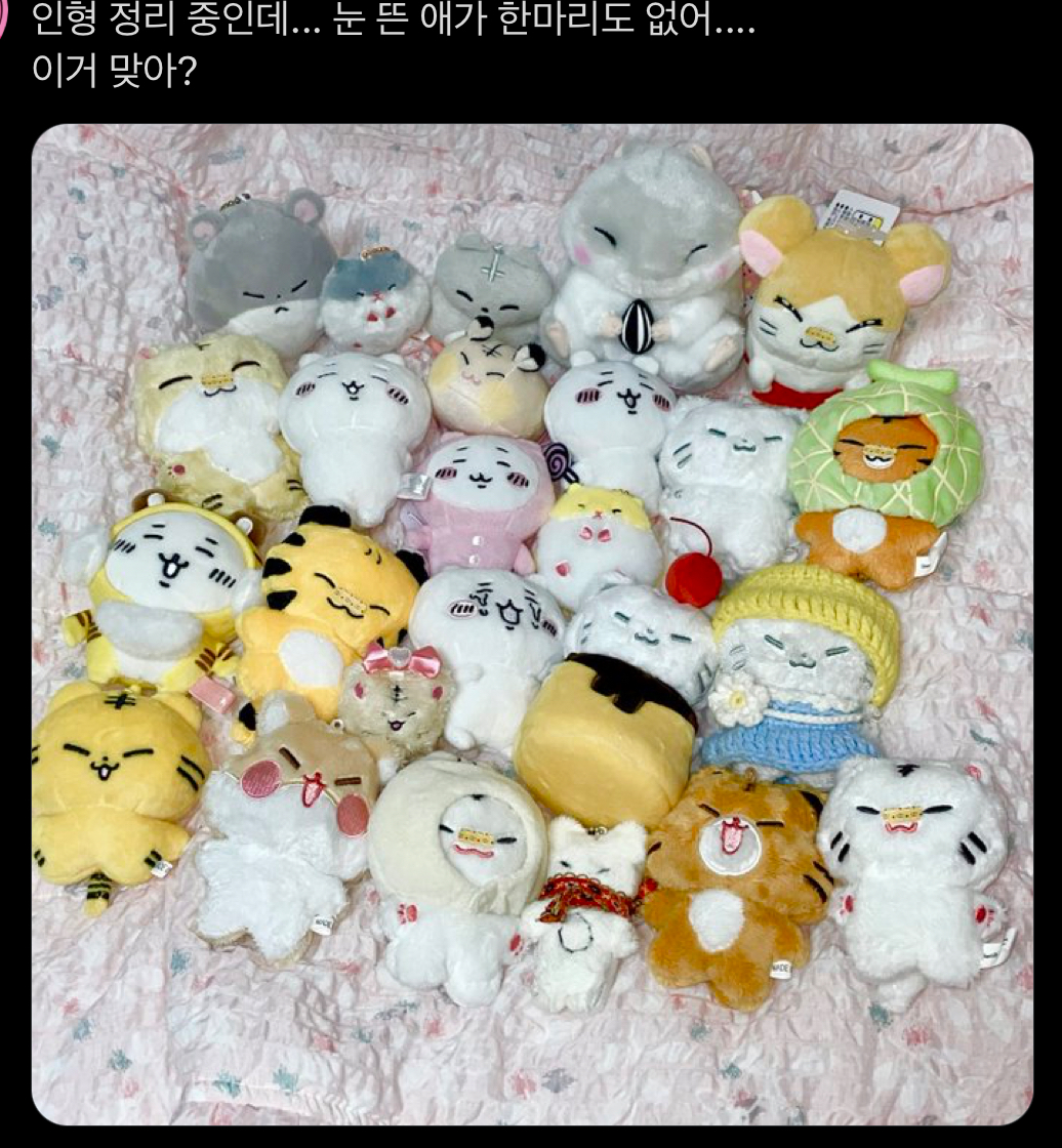 [잡담] 아 호시 별명들이 개웃김 ㅋㅋㅋㅋㅋㅋ | 인스티즈