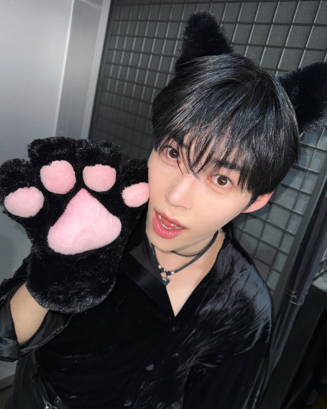 [잡담] 성한빈 고양이 뜬 사진 헐 | 인스티즈