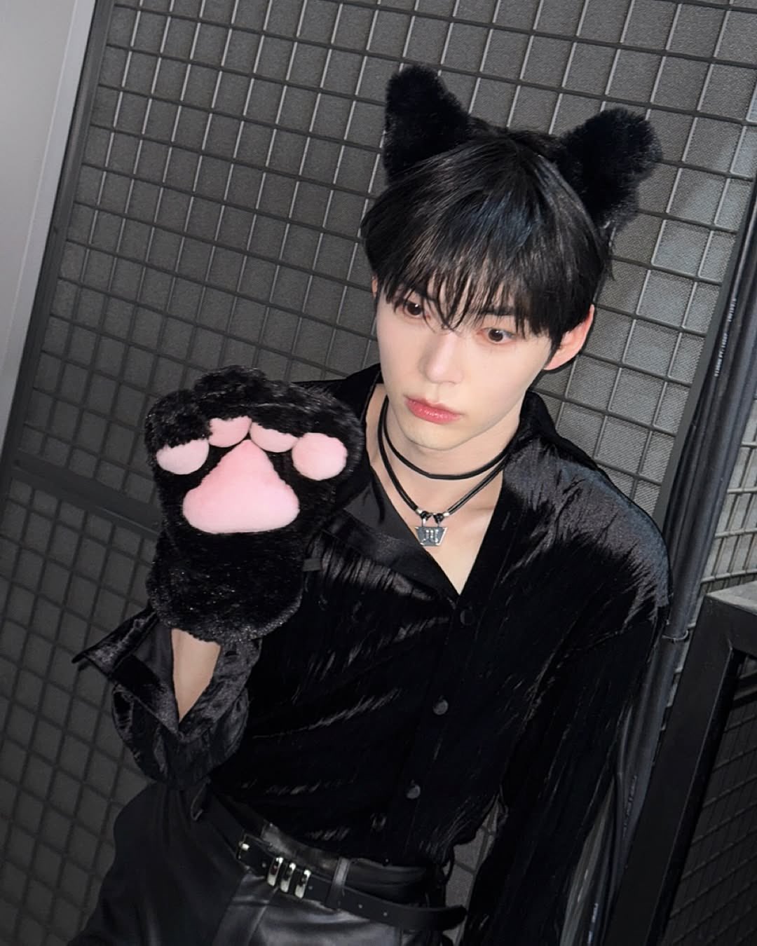 [잡담] 성한빈 고양이 뜬 사진 헐 | 인스티즈