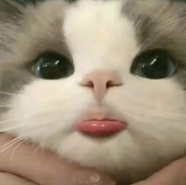 [잡담] 원빈이 똑닮았다 | 인스티즈