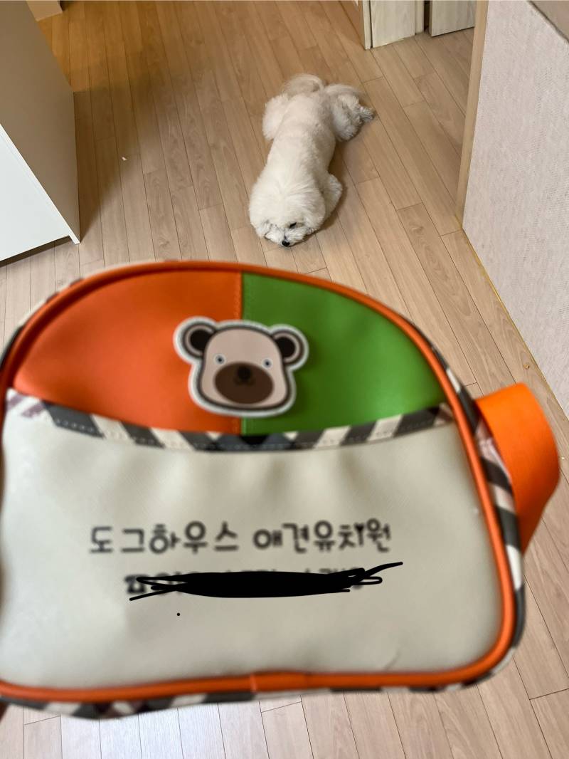 [잡담] 유치원 합격함 | 인스티즈