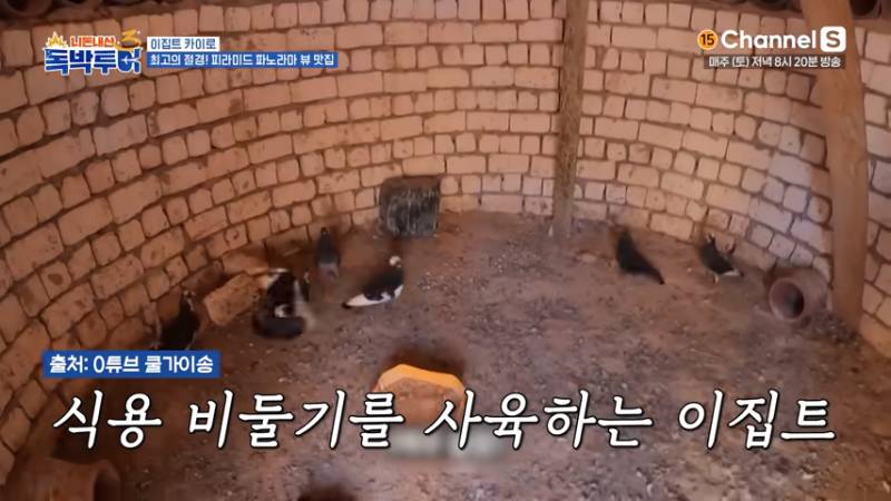 한국인이 처음 보면 충격 받는다는 이집트 인기 요리 | 인스티즈