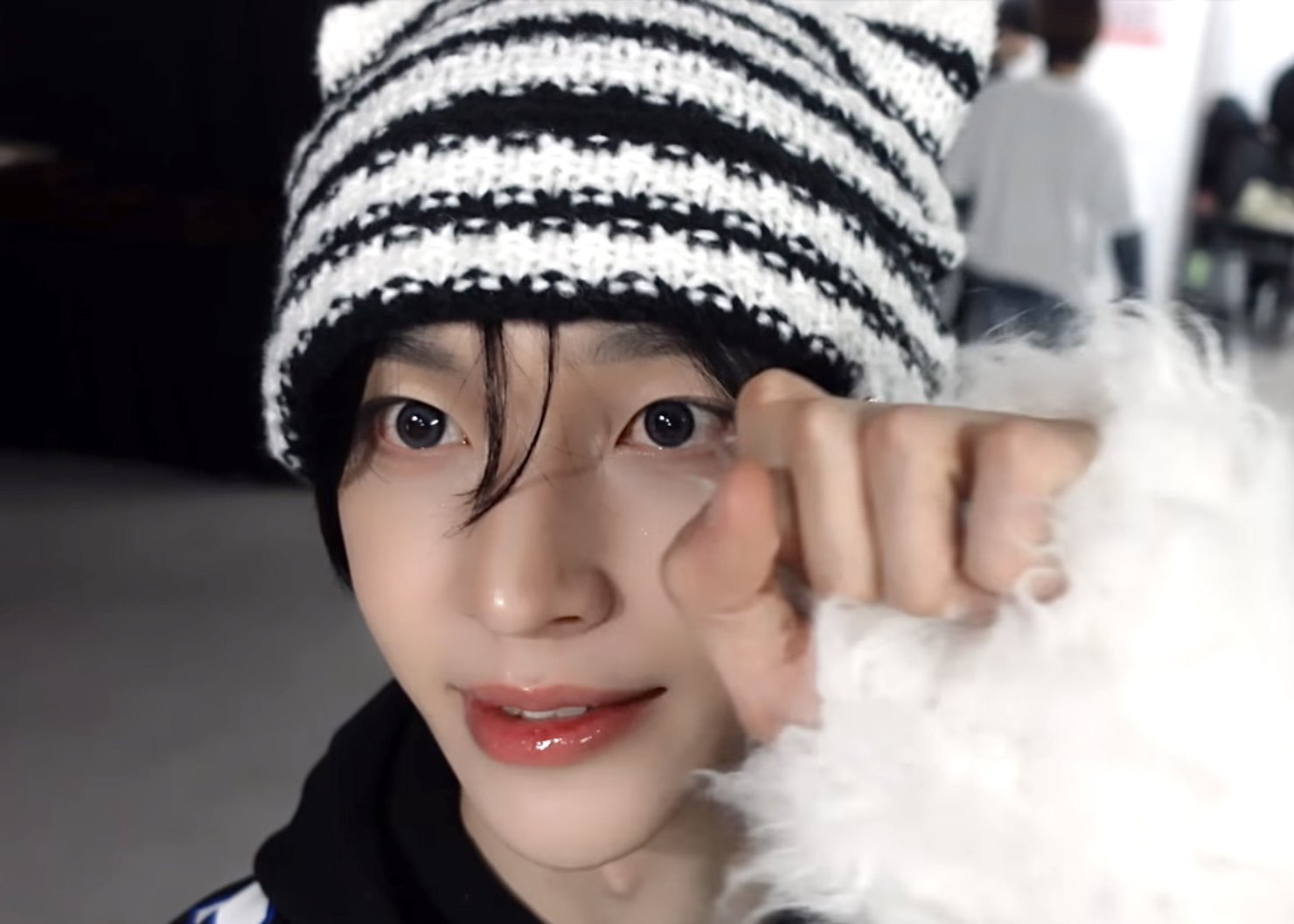 [잡담] 고양이 원빈 또 하자.. | 인스티즈