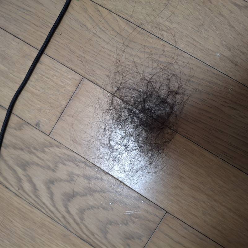 [잡담] 머리 허리까지 엄청 긴 편인데 엉키니까 이만큼 빠짐 | 인스티즈