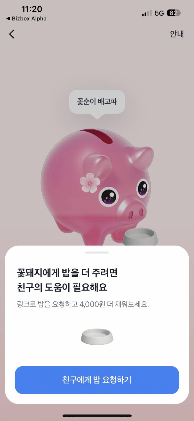 [잡담] 내 꽃돼지 왜 돈 안올라가 ??? | 인스티즈