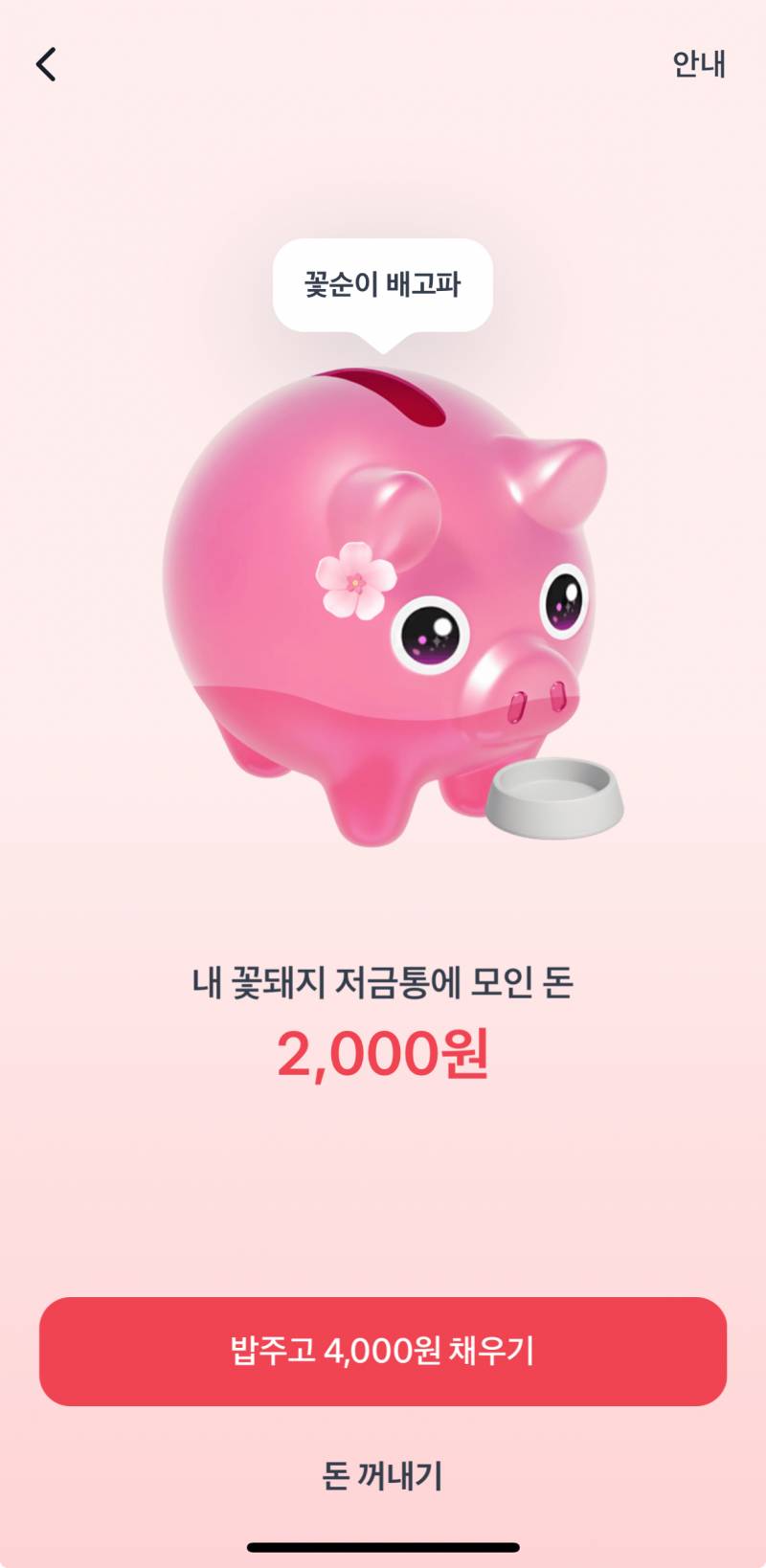 [잡담] 꽃돼지 잘알들아 왔다갔다는데 왜 저금통에 돈안쌓여? | 인스티즈