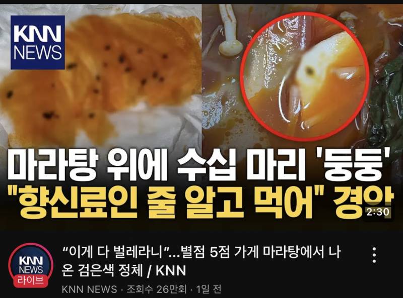 [잡담] 엥 인티발 마라탕 글 수출됐노 | 인스티즈