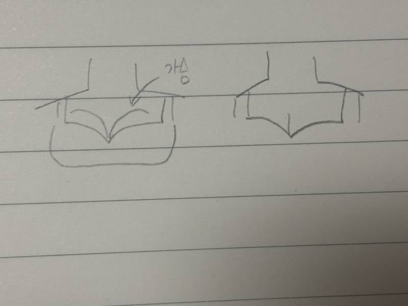 [잡담] 브라 착용 모양 어떤게 정답이니 | 인스티즈