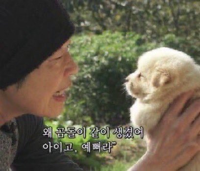 [잡담] 아뮤리생각해도 해찬이는 강아디야 | 인스티즈