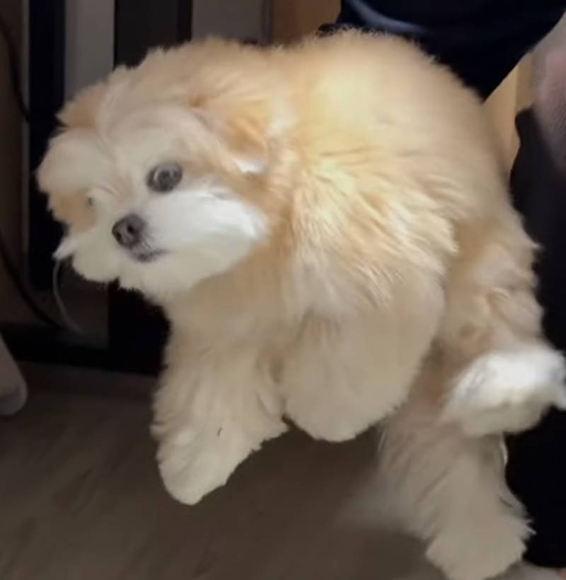 [잡담] 와 얘 진짜 귀엽게 생겼다 ㅋ ㅋ ㅋ ㅋ ㅋ | 인스티즈
