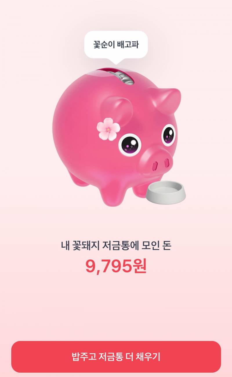 꽃돼지 사요! | 인스티즈