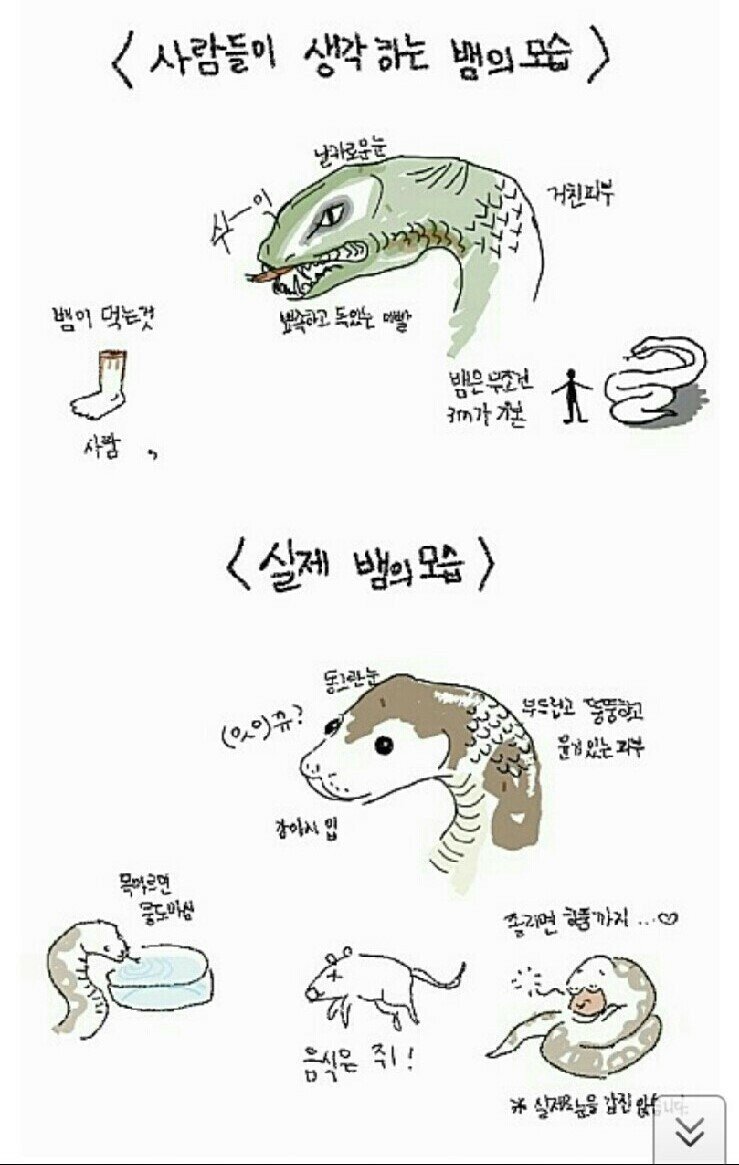 [잡담] 카리나 생각보다 순하게 생겨서 놀라는 사람들 많은거까지가 뭔가 뱀같음 | 인스티즈