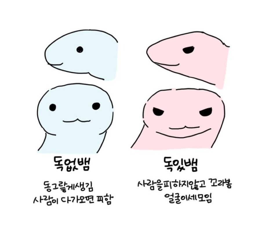 [잡담] 카리나 생각보다 순하게 생겨서 놀라는 사람들 많은거까지가 뭔가 뱀같음 | 인스티즈