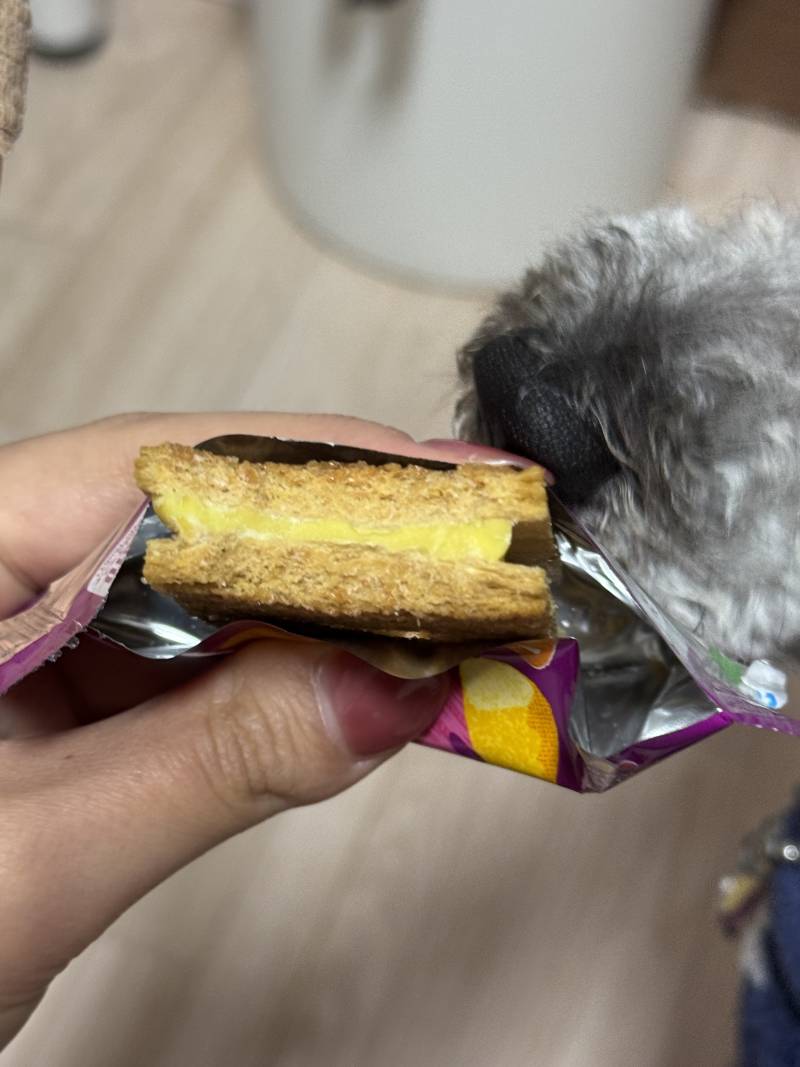 [잡담] 일본 공항가서 이거보임 집어와라... | 인스티즈