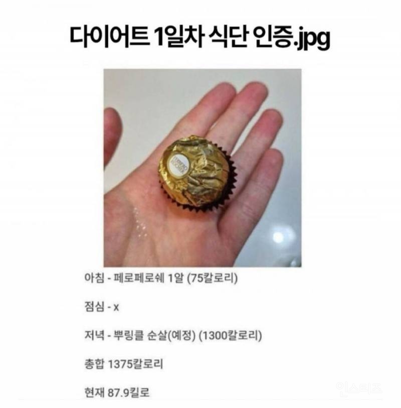 다이어트 1일차 식단 인증 | 인스티즈