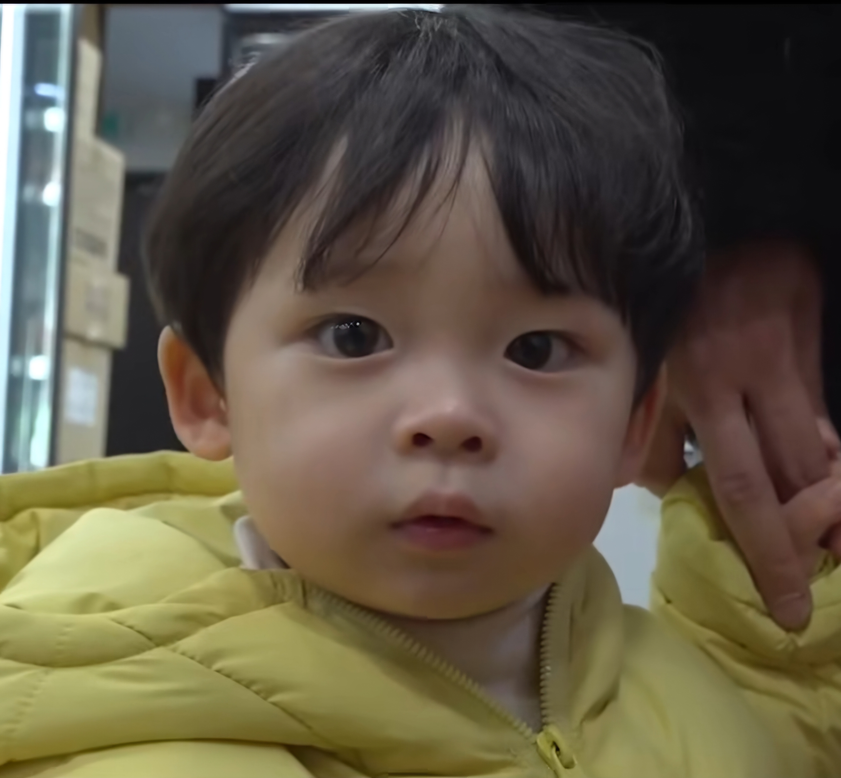 [잡담] 으앙 너무 기여워ㅜㅜㅜ | 인스티즈