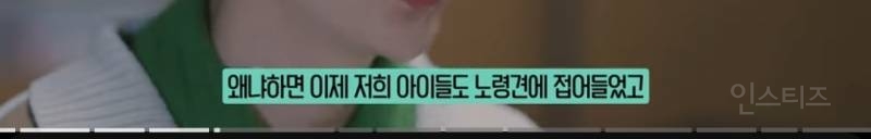 노령견을 키우는사람이면 공감하는이유.jpg | 인스티즈