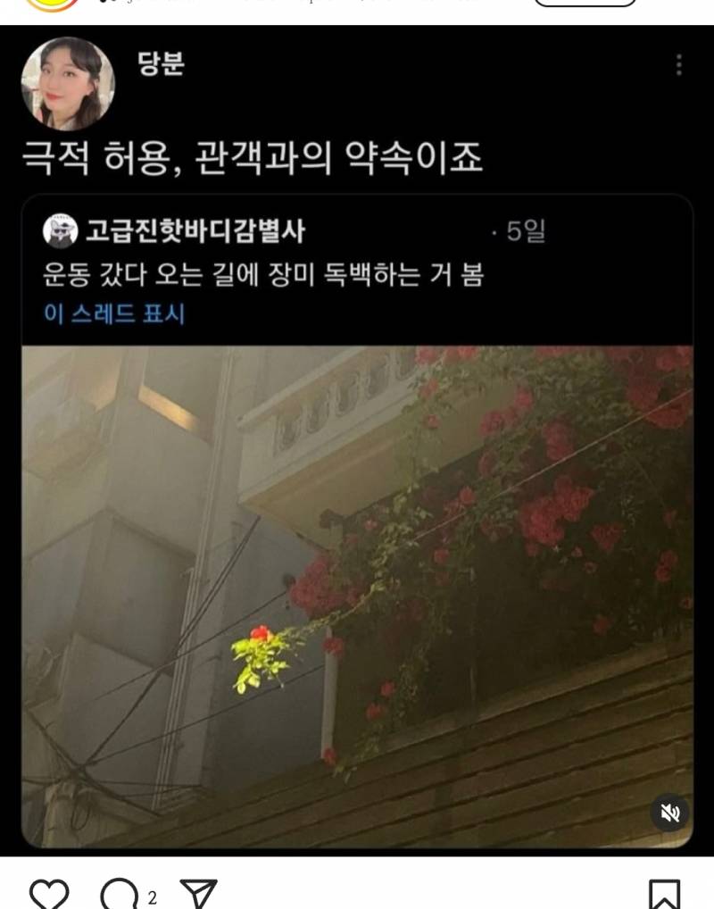 [잡담] 너희도 장미 독백하는거 볼래? | 인스티즈