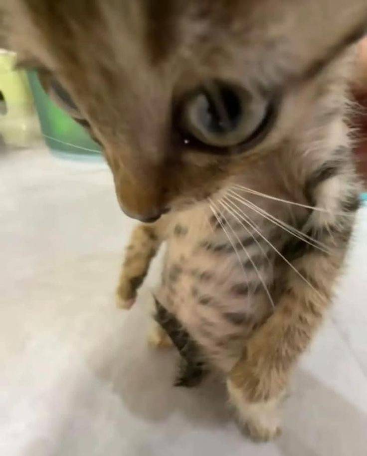 [잡담] 면접 개망함 ㅎ | 인스티즈