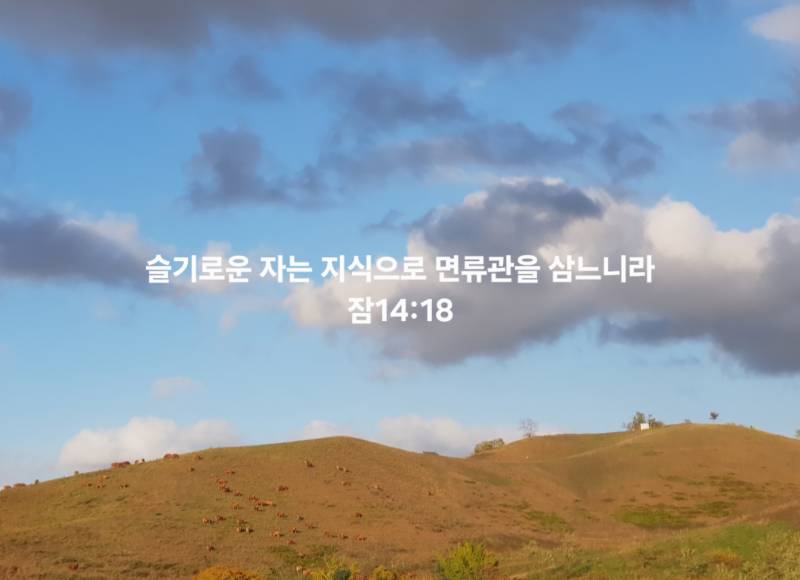 [잡담] 익들아 힐링하고 가😊 | 인스티즈