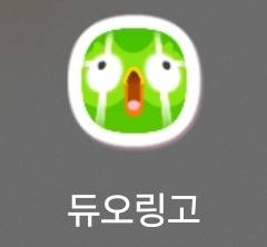 [잡담] 엥 듀오링고 언제 부활했지 | 인스티즈