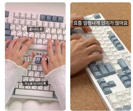[잡담] 키보드 색상 골라줄수있어..? | 인스티즈