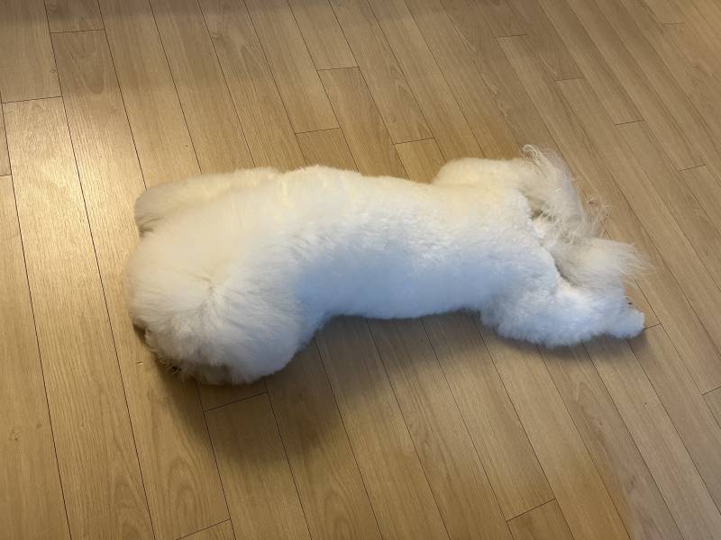 [잡담] 이 사진을 보고 생각나는 문장이나 단어가 뭐니? | 인스티즈