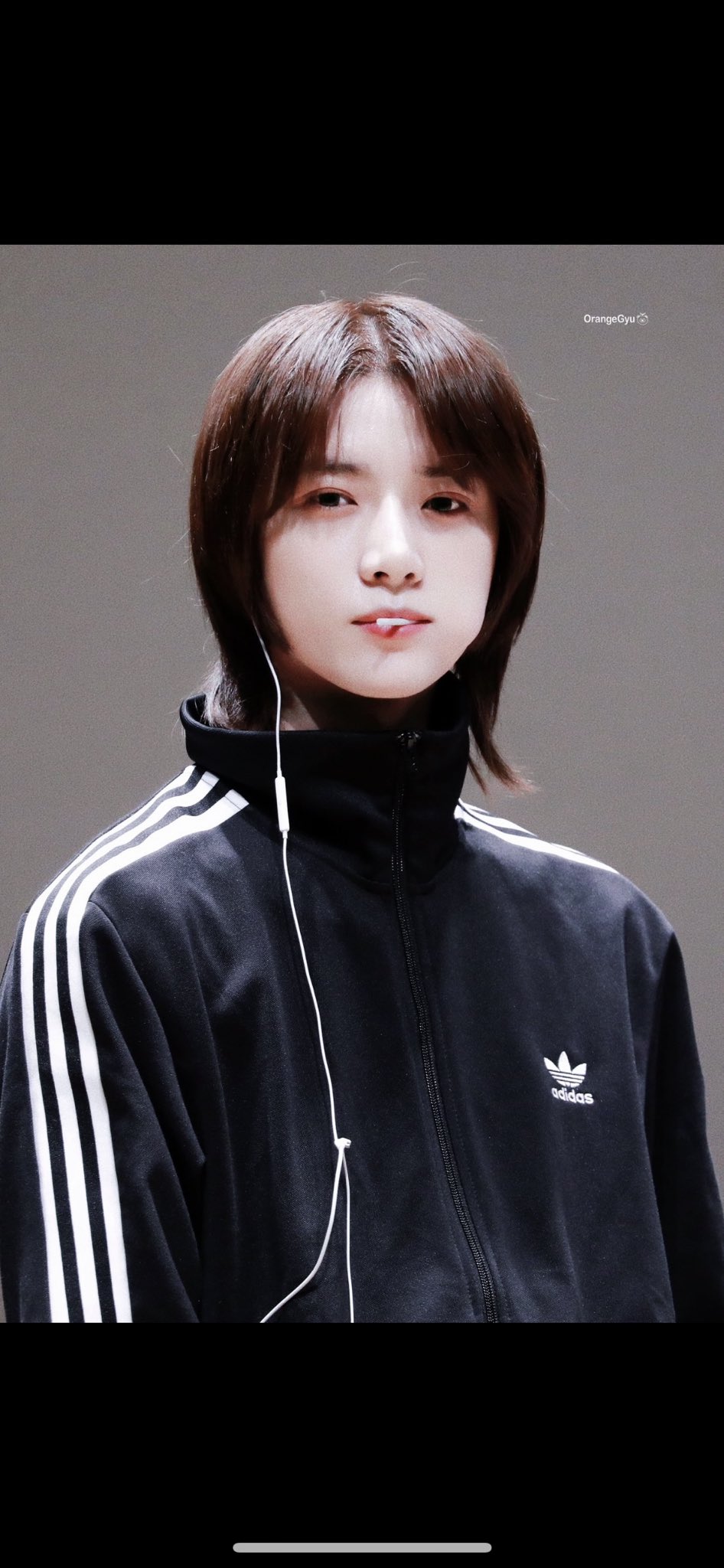 [잡담] 아디다스 컷 있는 익 있으면 공유해줘 | 인스티즈