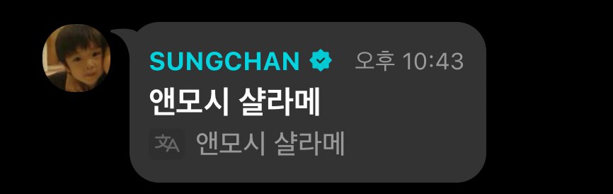 [잡담] 앤모시 샬라메 (주어 앤톤 | 인스티즈