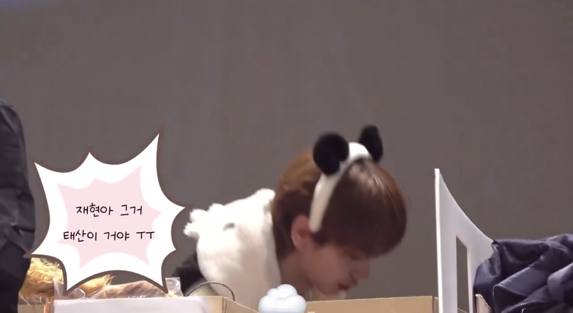 [잡담] 명재현한테 고양이세트가 들어왔다 .ᐟ.ᐟ.ᐟ | 인스티즈