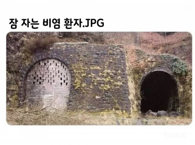 잠 자는 비염 환자 | 인스티즈