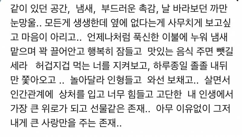 [잡담] 강아지의 죽음은 사람의 죽음이랑은 정말 다른 의미인거같음 | 인스티즈