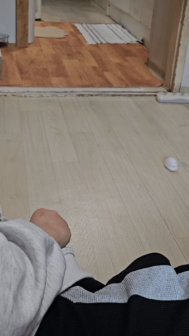 [잡담] 고속스핀하는거 보고가라ㅎㅎ | 인스티즈