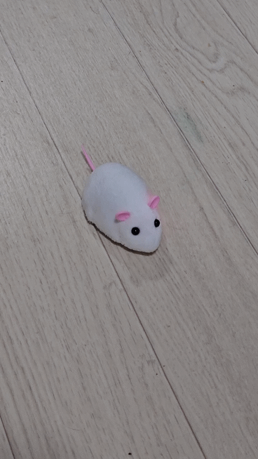 [잡담] 고속스핀하는거 보고가라ㅎㅎ | 인스티즈