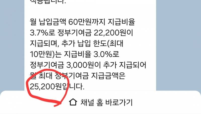 [잡담] 청년도약계좌 정부기여금 지급금액 다들 얼마야❓️ | 인스티즈