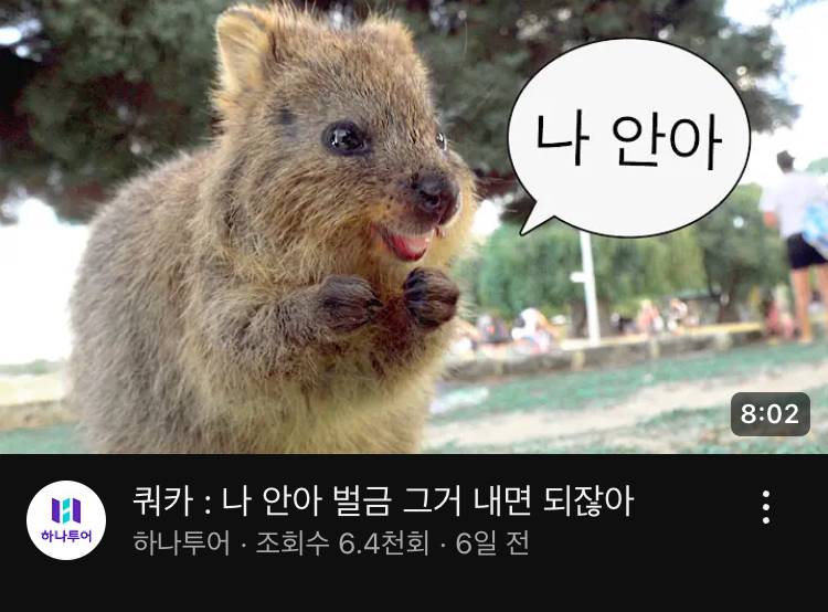 [잡담] 하 이거 못본 사람 없게해주세요 ㅠㅜㅜㅜ | 인스티즈