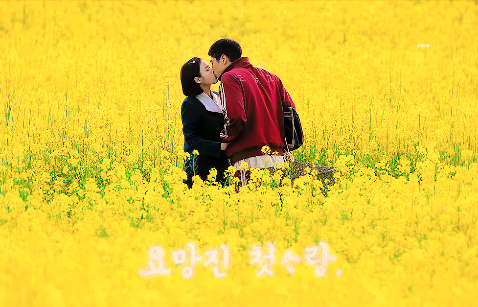 [잡담] 폭싹 유채꽃키스신에 너의의미 넣은거 너무너무너무너무 좋고 감다살이다 | 인스티즈