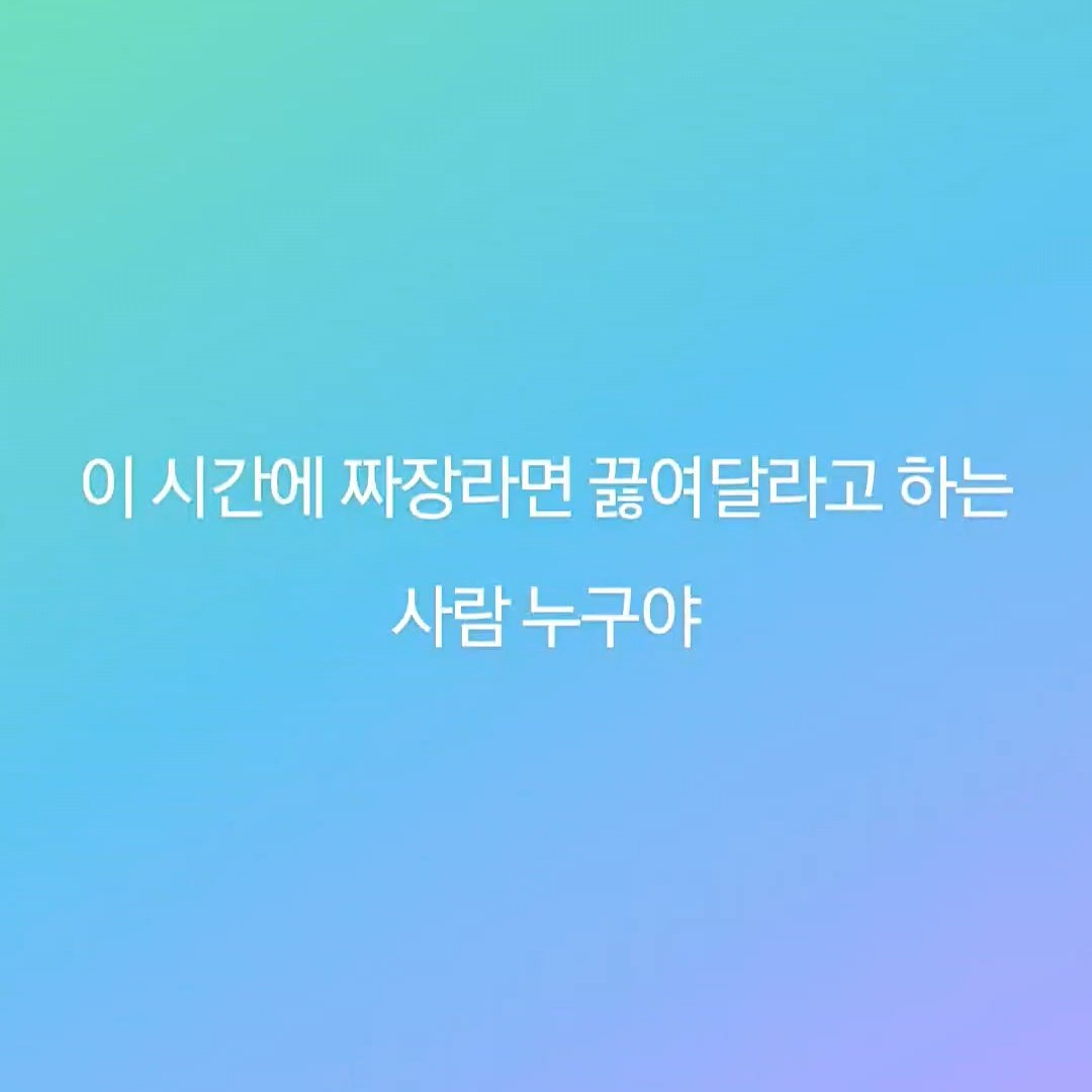 [잡담] 원빈 소희 둘이 면을 와이리 좋아해 | 인스티즈