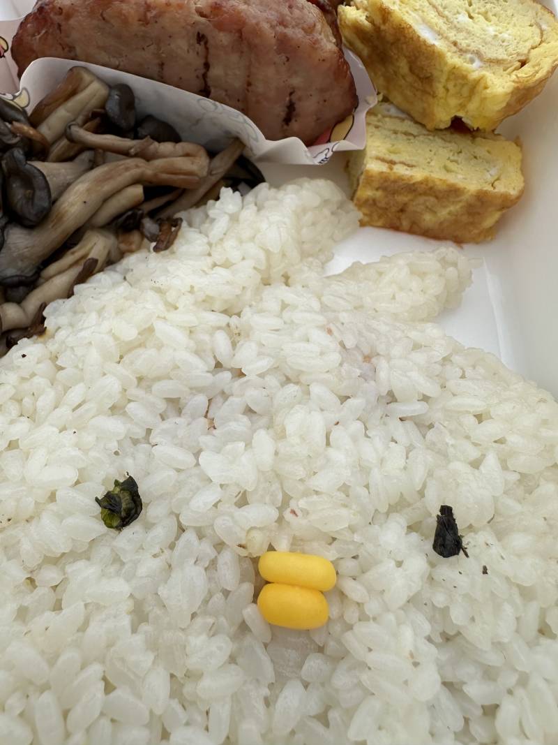 [잡담] 오늘 철웅이랑 수리 만들어서 먹고 옴 와앙 ʕ๑ᵔ⤙ᵔ๑ʔ | 인스티즈