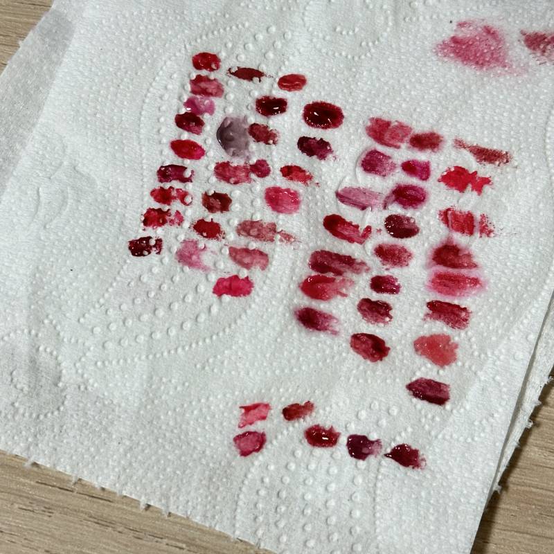 [잡담] 립정리하는데 미친듯한 쿨톤 광인… 이었다 나 | 인스티즈