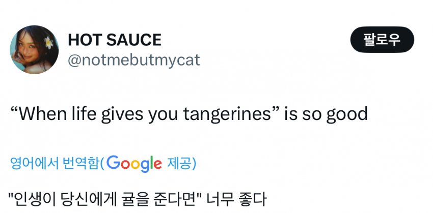 [잡담] 폭싹 실시간 해외 짹 반응 구경중인데 | 인스티즈