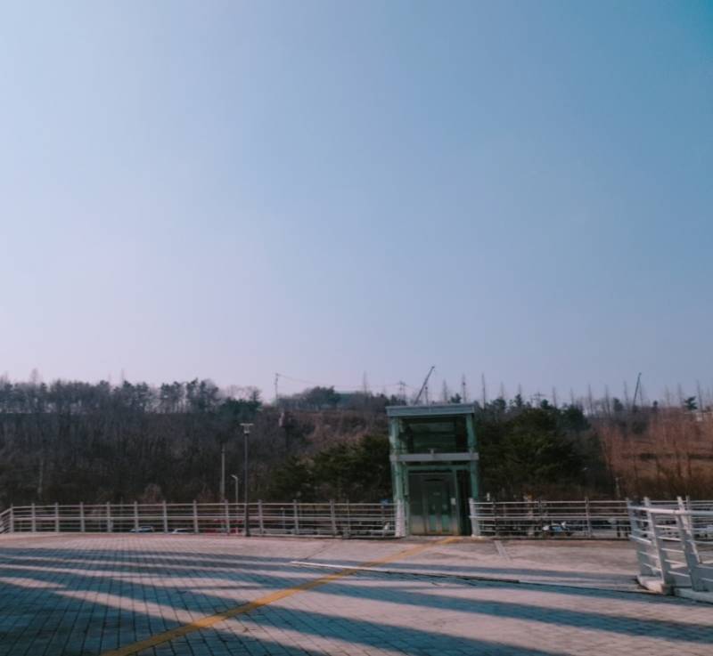 [잡담] 산책 중 | 인스티즈