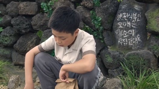 [잡담] 섬 자체가 그냥 거대한 애순관식 망붕이다 | 인스티즈